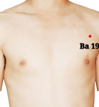 punto b19 xiongxiang