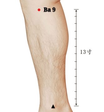 punto b9 yinlingquan