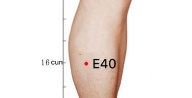 punto e40 fenglong