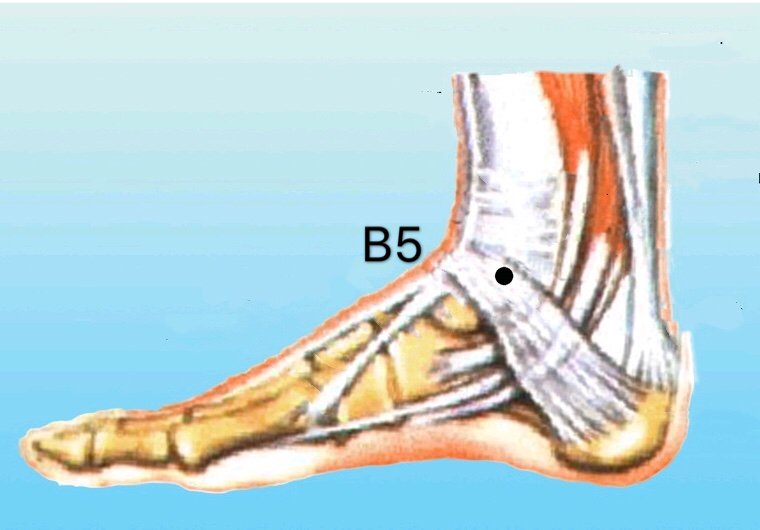 punto b5 shangqiu anatomia