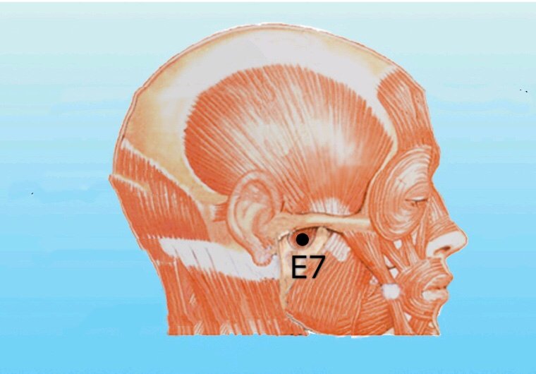 punto e7 xiaguan anatomia