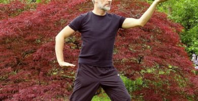 chigong taichi