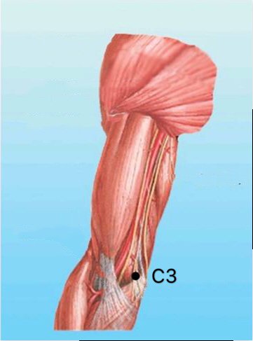 punto c3 shaohai anatomia