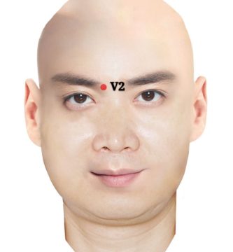 punto v2 zanzhu