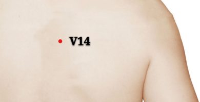 punto v14 jueyinshu