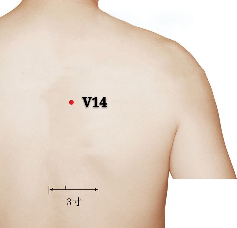 punto v14 jueyinshu