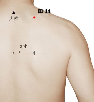 punto id14 jianwaishu