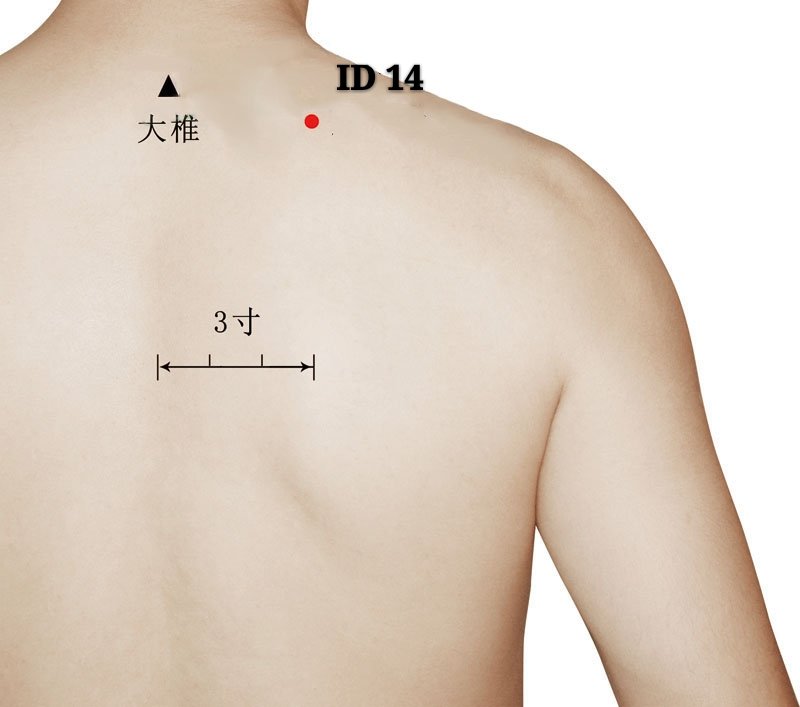 punto id14 jianwaishu