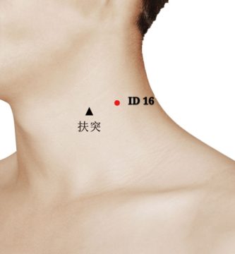 punto id16 tianchuang