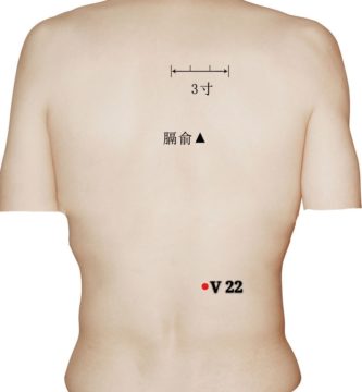 punto v22 sanjiaoshu