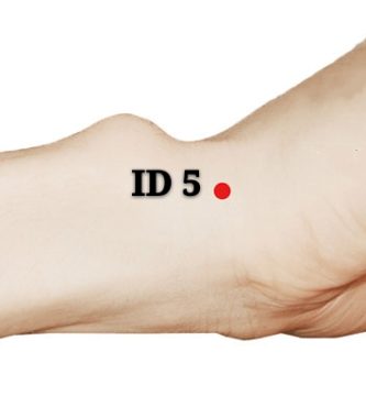 punto id5 yanggu