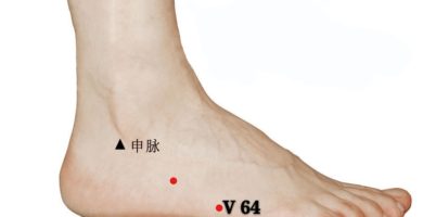 punto v64 jinggu