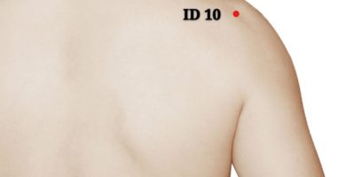 punto id10 naoshu