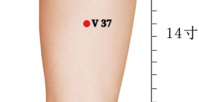 punto V37 yinmen