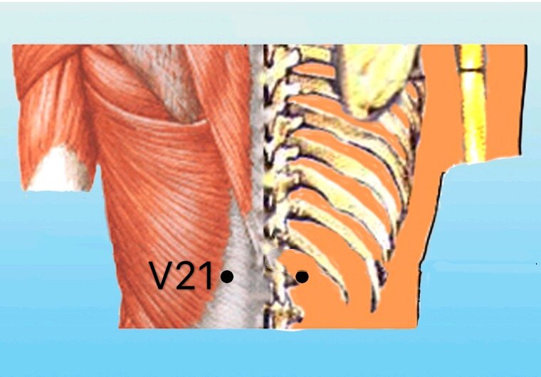 punto v21 weishu anatomia