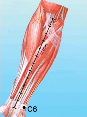 punto c6 yinxi anatomia