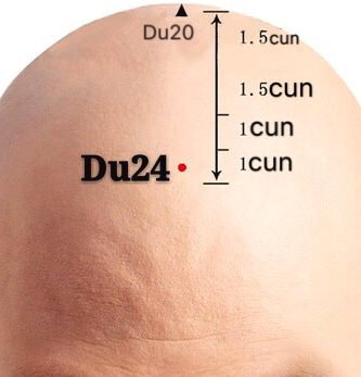 punto du24 shenting