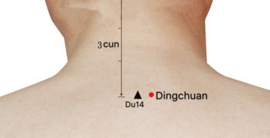 ex-bw1 dingchuan