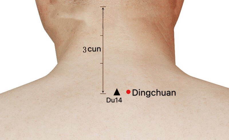 ex-bw1 dingchuan