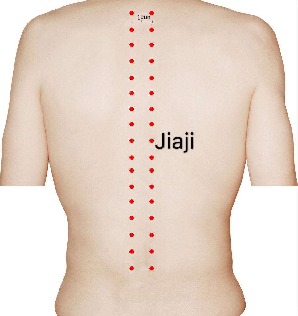 ex-bw2 jiaji