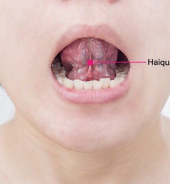 ex-hn11 haiquan
