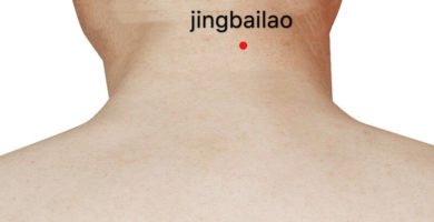 ex-hn15 jingbailao