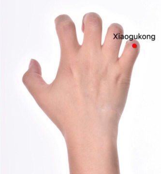 ex-ue6 xiaogukong