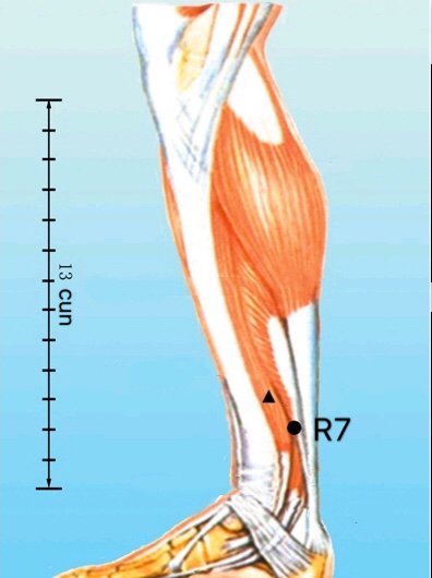 punto r7 fuliu anatomia