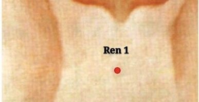 punto ren1 huiyin