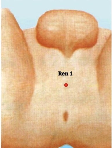 punto ren1 huiyin