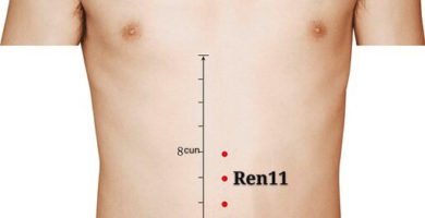 punto ren11 jianli
