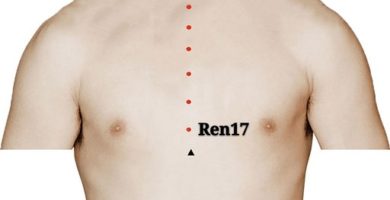 punto ren17 danzhong