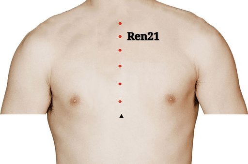punto ren21 xuanji