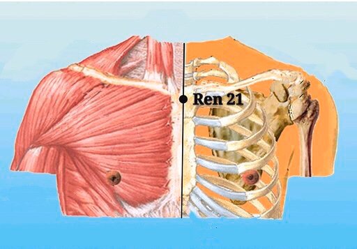 punto ren21 xuanji anatomia