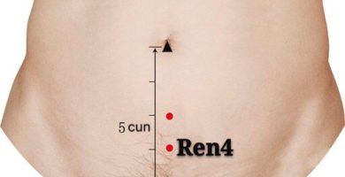 punto ren4 guanyuan