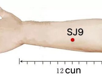 punto sj9 sidu