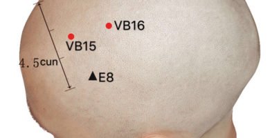 punto vb16 muchuang