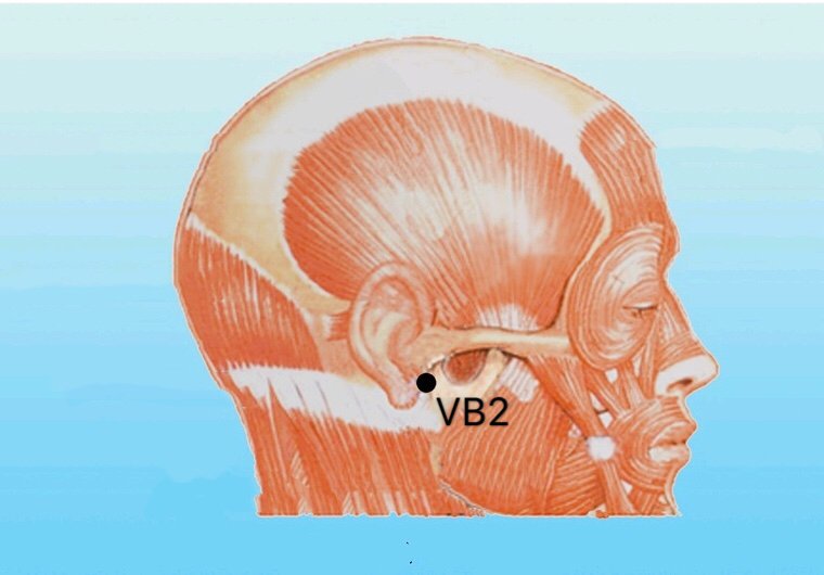 punto vb2 tinghui anatomia