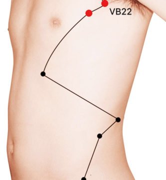 punto vb22 yuanye