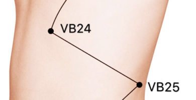 punto vb25 jingmen
