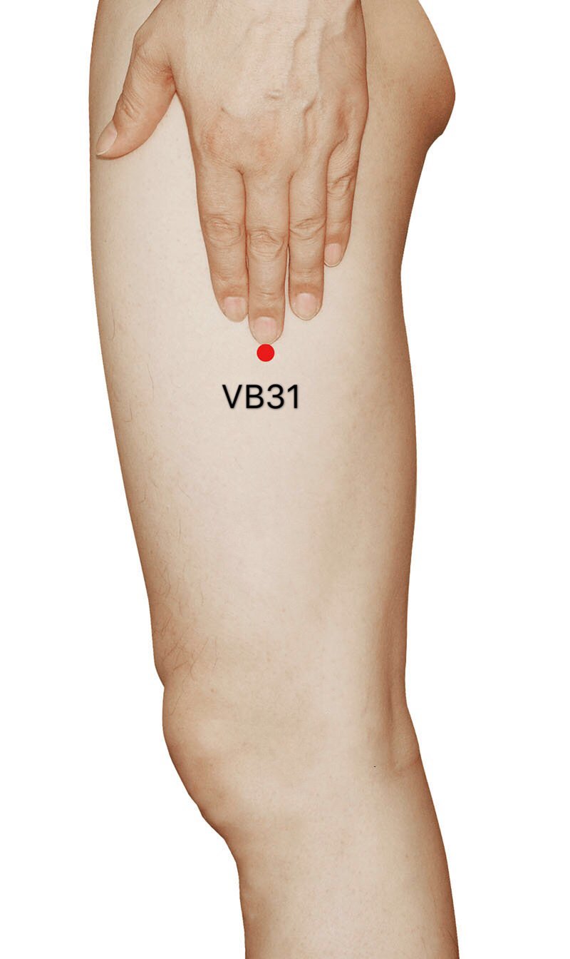 VB31 (Fengshi) - Saludymedicinachina.com