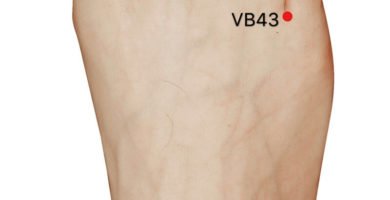 punto vb43 xiaxi