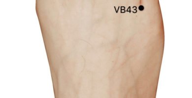 punto vb44 zuqiaoyin