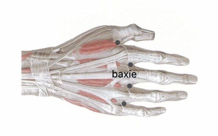 punto anatomica baxie