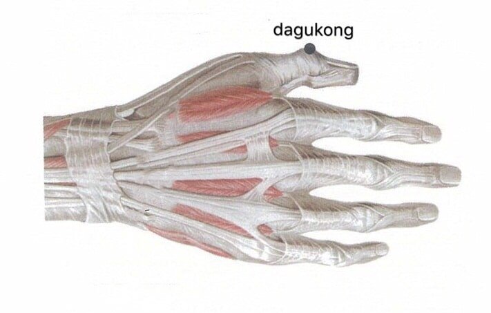 punto anatomica dagukong