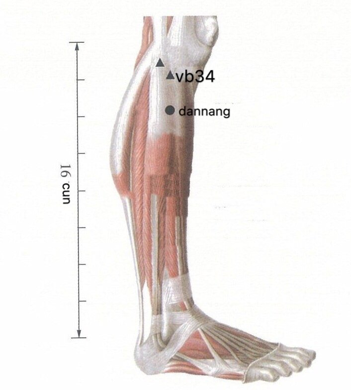 punto anatomica dannang