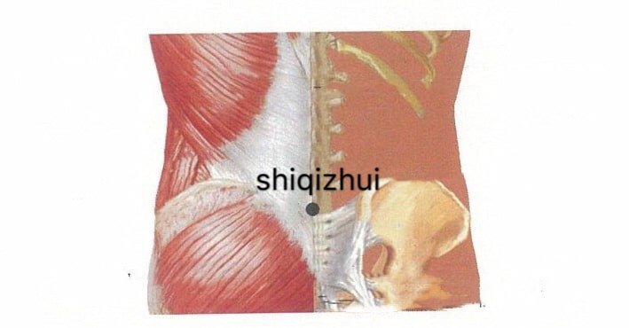 punto anatomica shiqizhui