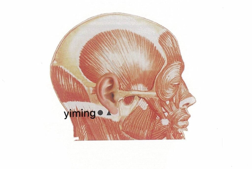 punto anatomica yiming