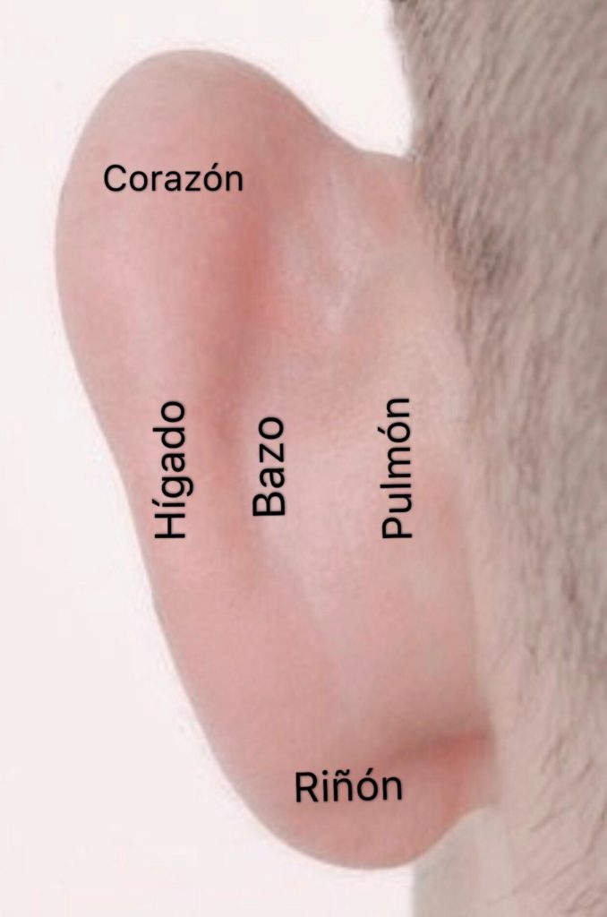 punto postauriculo