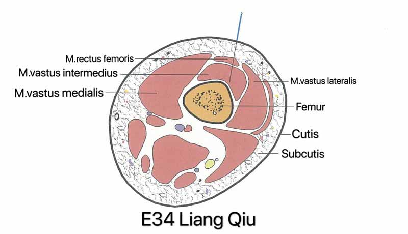 estomago 34 liang qiu